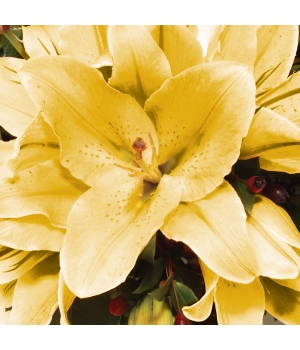 Eileen Jenkins Lily Wreath